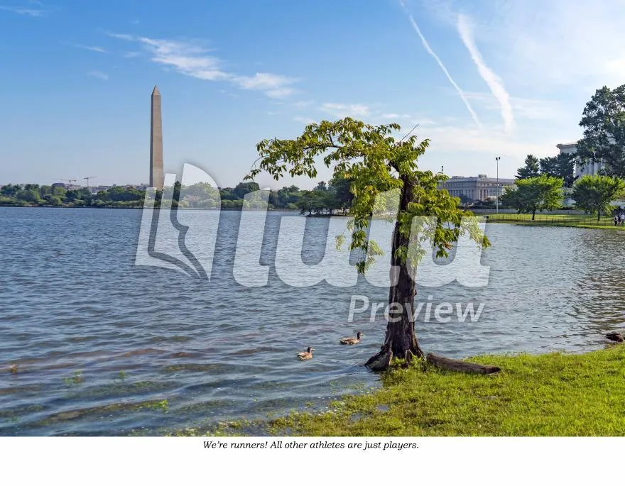 2024-2025 Credit Union Cherry Blossom Wall Calendar Featuring Stumpy