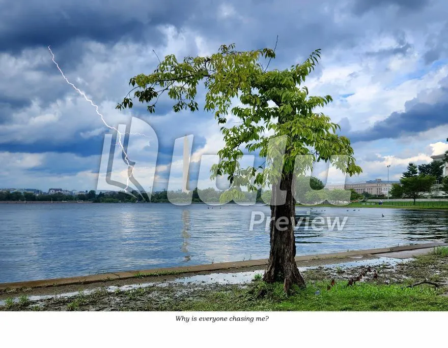 2024-2025 Credit Union Cherry Blossom Wall Calendar Featuring Stumpy