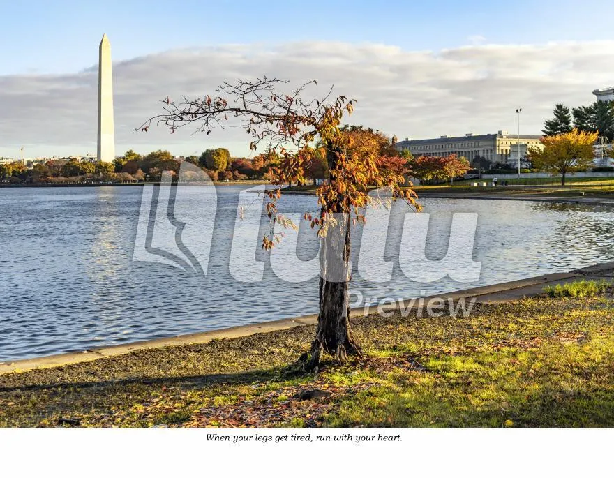 2024-2025 Credit Union Cherry Blossom Wall Calendar Featuring Stumpy