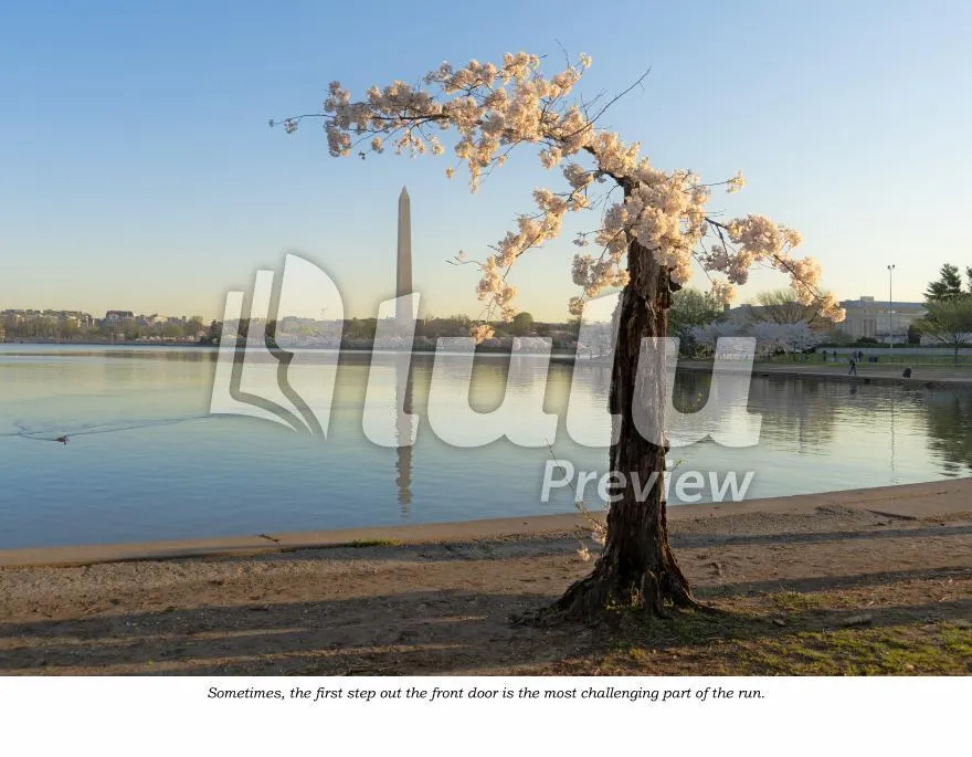 2024-2025 Credit Union Cherry Blossom Wall Calendar Featuring Stumpy