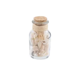 Beachcombers Glass Bottle with Natural Sea Shells