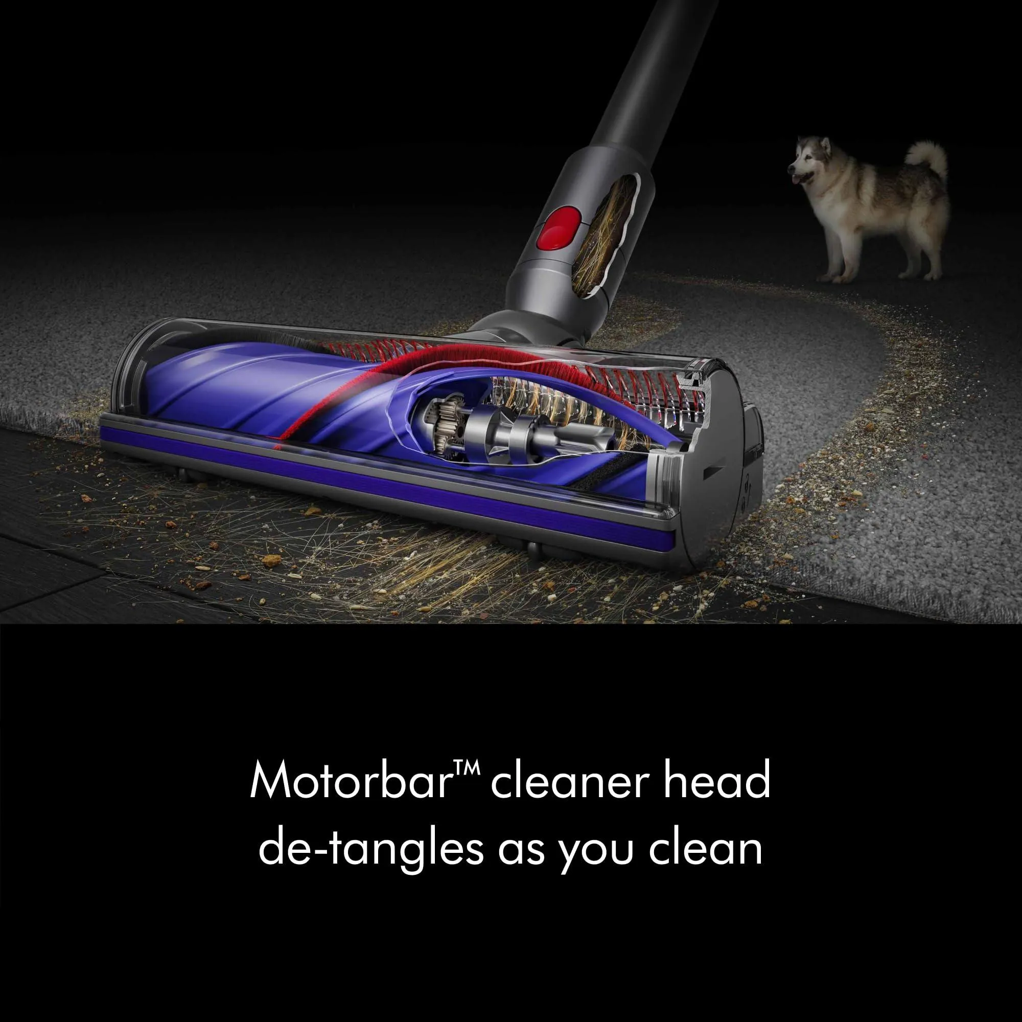 Dyson V8 Plus Cordless Vacuum