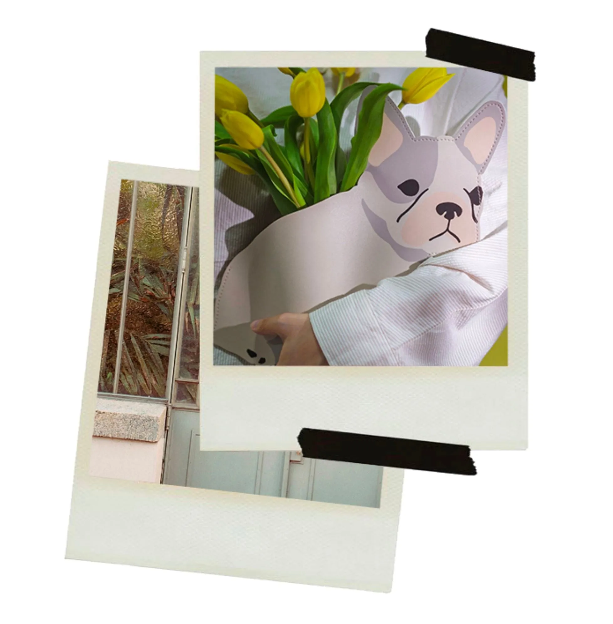 Flower Vase - Frenchie Collapsible Vase