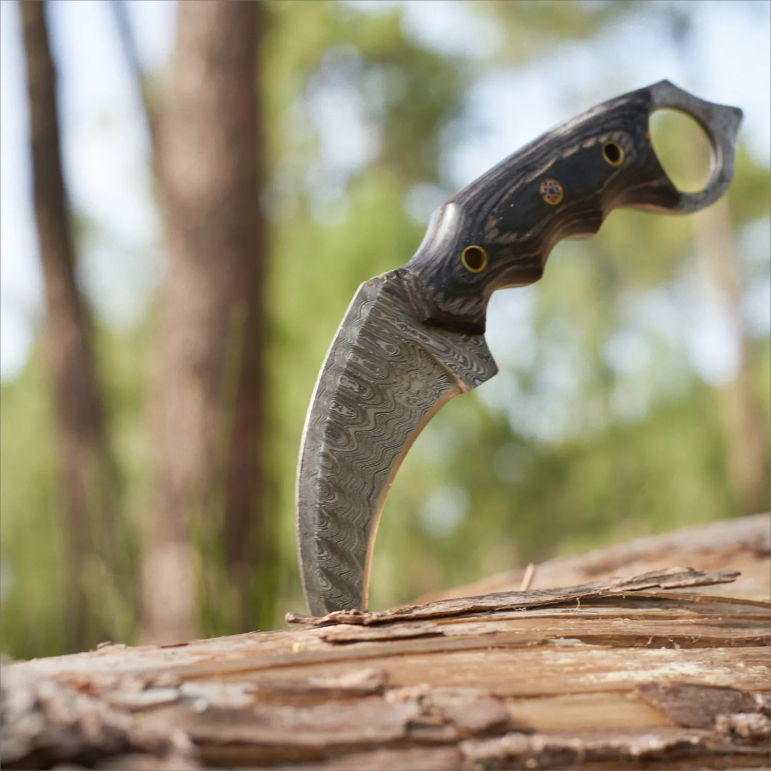 Karambit Desert Fox Damascus Hunting Knife