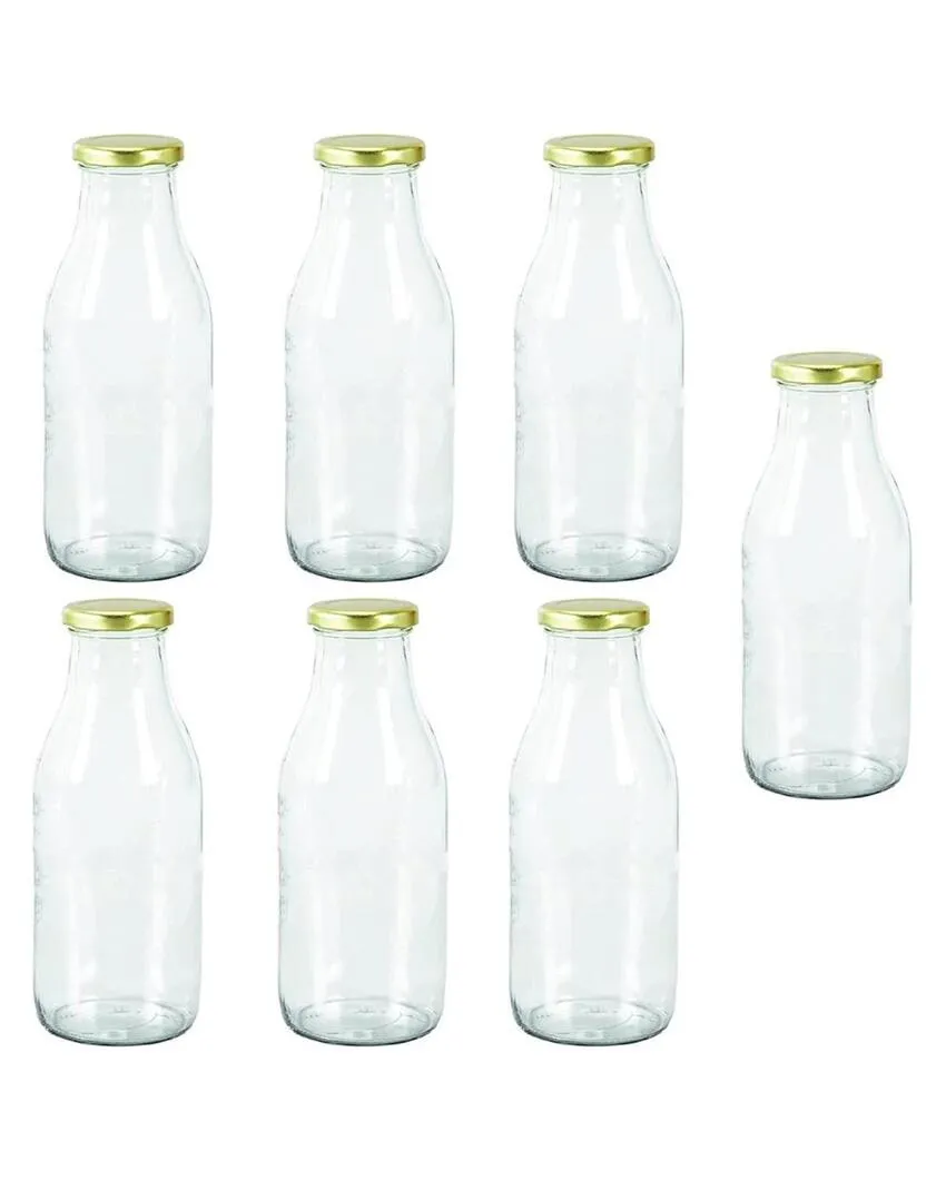 Medium Clear Glass Storage Jar for Beans and Dry Foods Food Grade Quality | 500 ML | 3 x 8 inches