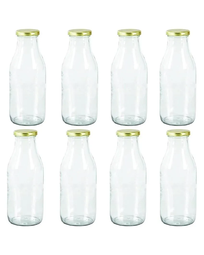 Medium Clear Glass Storage Jar for Beans and Dry Foods Food Grade Quality | 500 ML | 3 x 8 inches