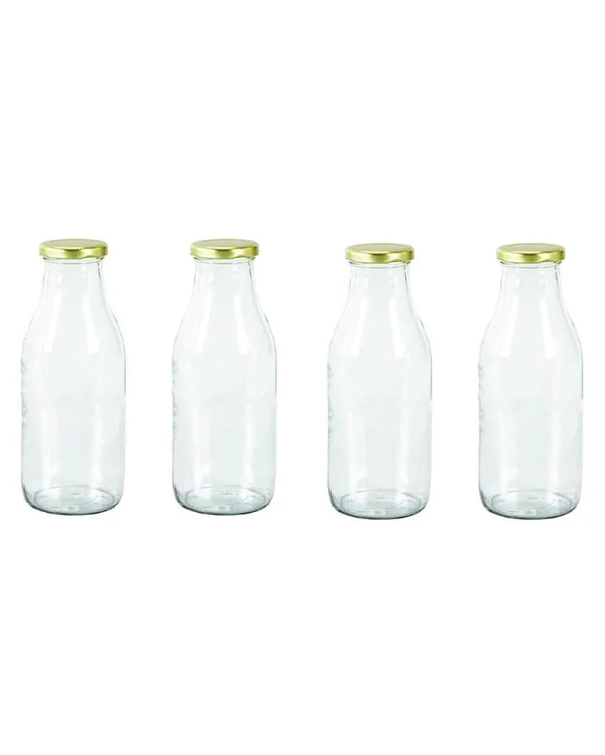 Medium Clear Glass Storage Jar for Beans and Dry Foods Food Grade Quality | 500 ML | 3 x 8 inches