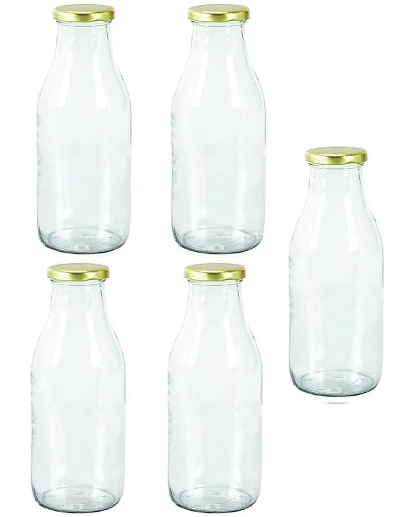 Medium Clear Glass Storage Jar for Beans and Dry Foods Food Grade Quality | 500 ML | 3 x 8 inches