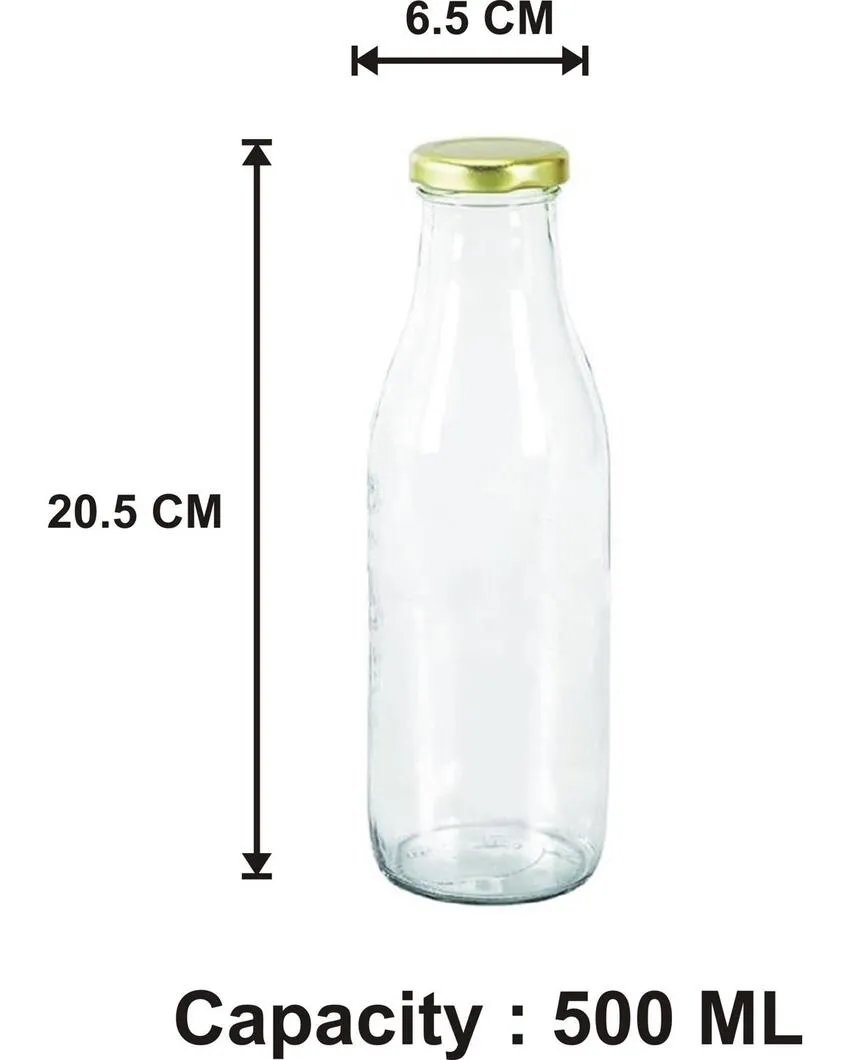 Sleek Clear Glass Water and Milk Serving Bottle Medium Sized for Home or Office | 500 ML | 3 x 8 inches