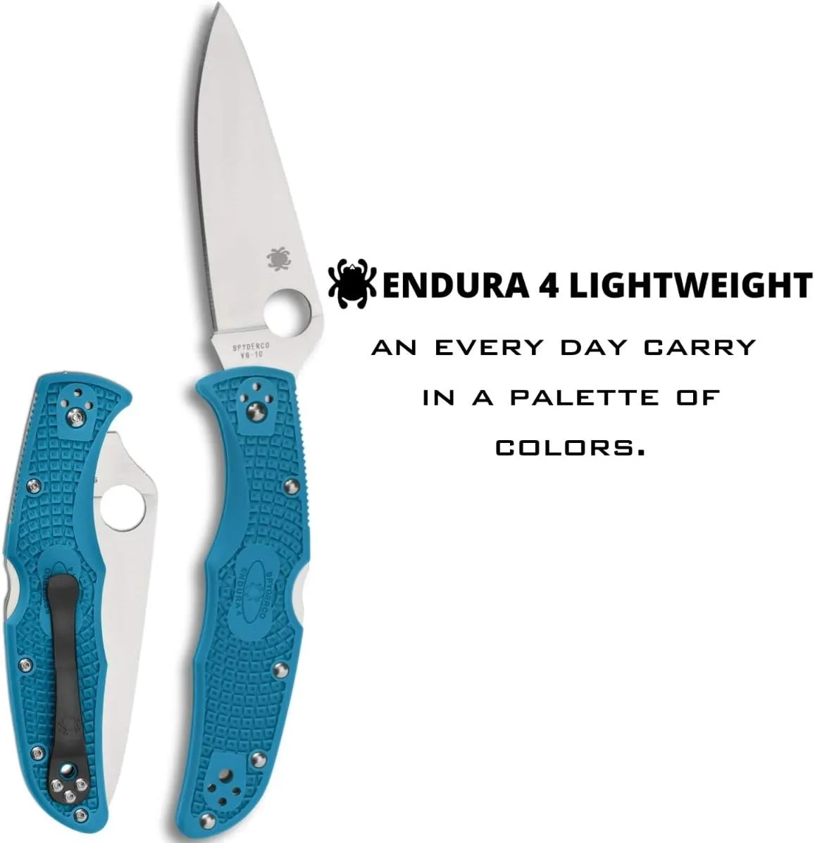 Spyderco, Endura 4 Lightweight Signature Knife with 3.80" VG-10 Steel Blade and Blue FRN Handle - PlainEdge - C10FPBL