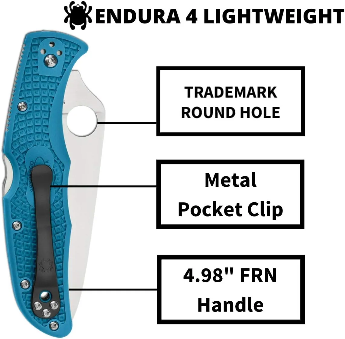 Spyderco, Endura 4 Lightweight Signature Knife with 3.80" VG-10 Steel Blade and Blue FRN Handle - PlainEdge - C10FPBL